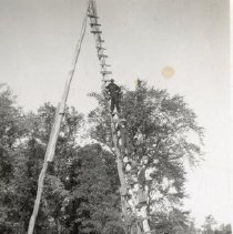 Omc 2006.006.001  (2)